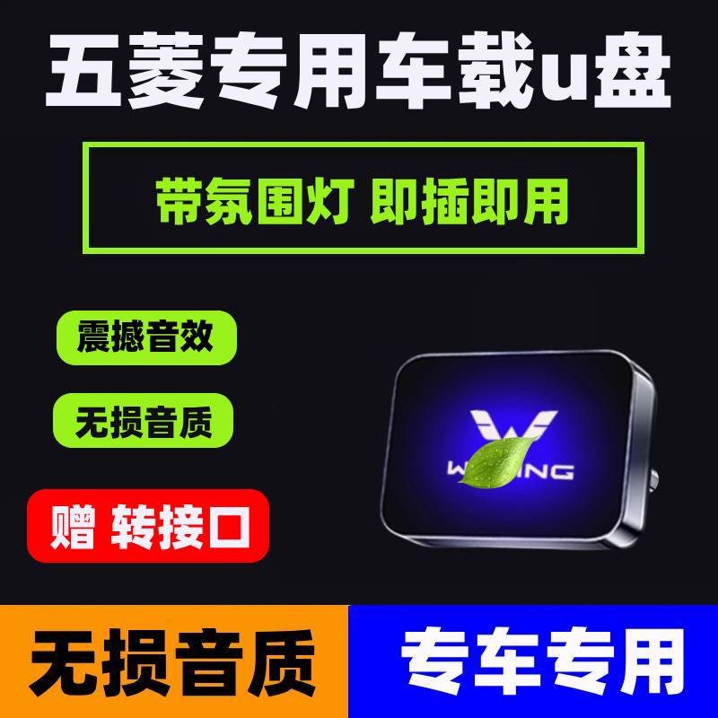 五菱车载U盘星光宏光MINI迷你EV星辰佳辰晴空缤果无损音乐优盘