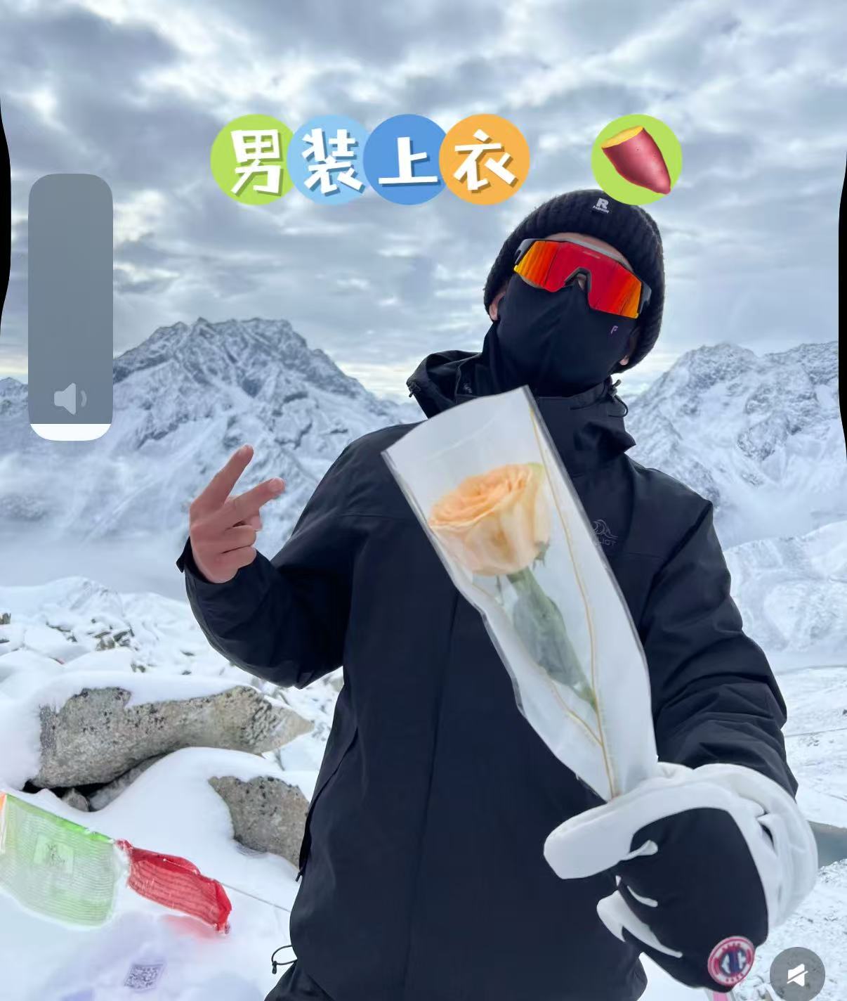 【莹莹达人专属】男士商务Polo衫净版-2