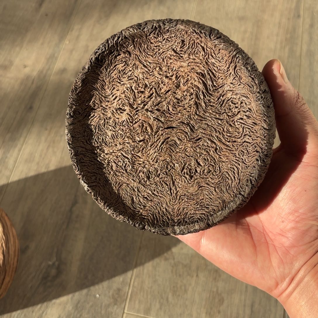 你***听木铁栎木风化纹理圆盘