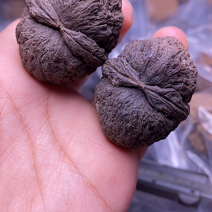 把件文玩核桃   174
