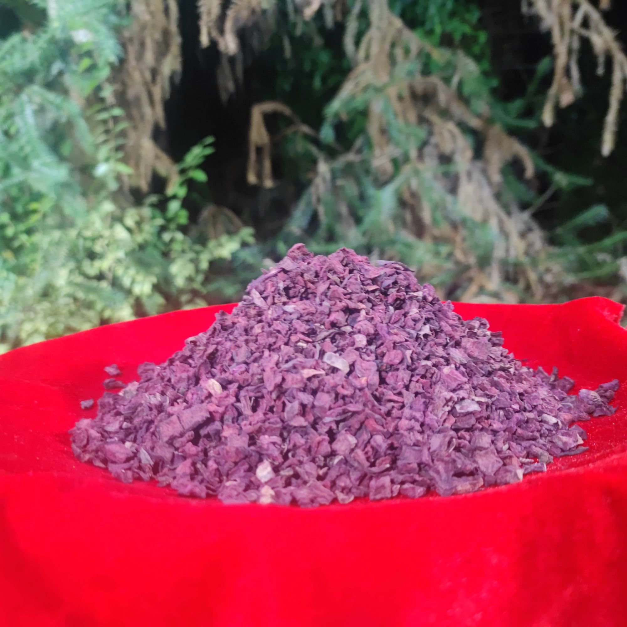 1【藏-血-灵-参】净含量：250g-1500g【小英现收】