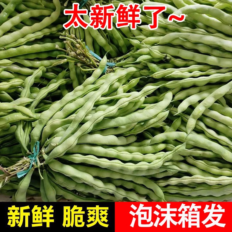贵州棒豆四季豆新鲜芸豆角扁豆刀豆现摘蔬菜嫩四季豆片