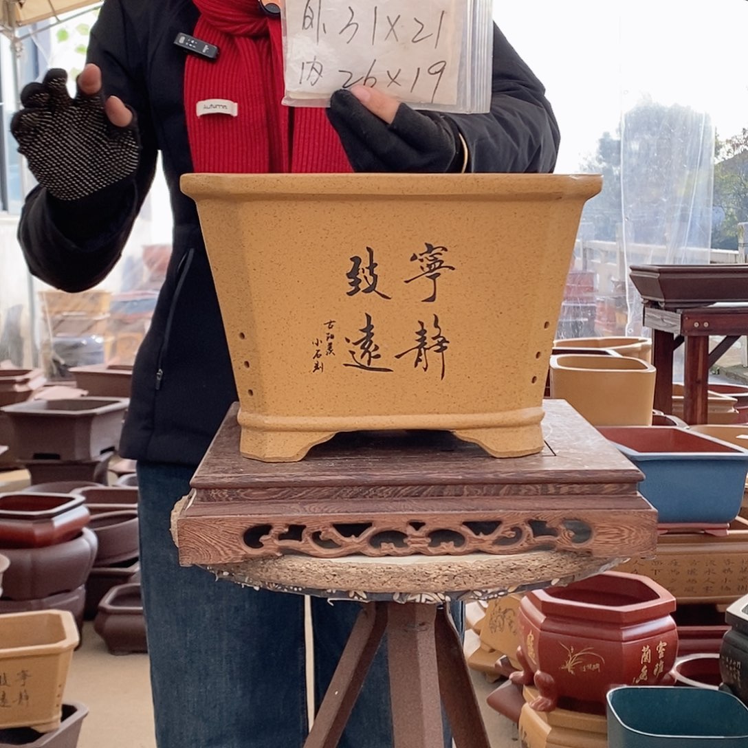 紫砂花盆紫砂花盆