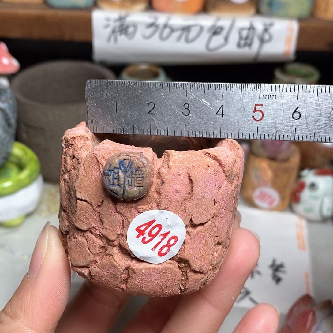 红陶拍5送一个小