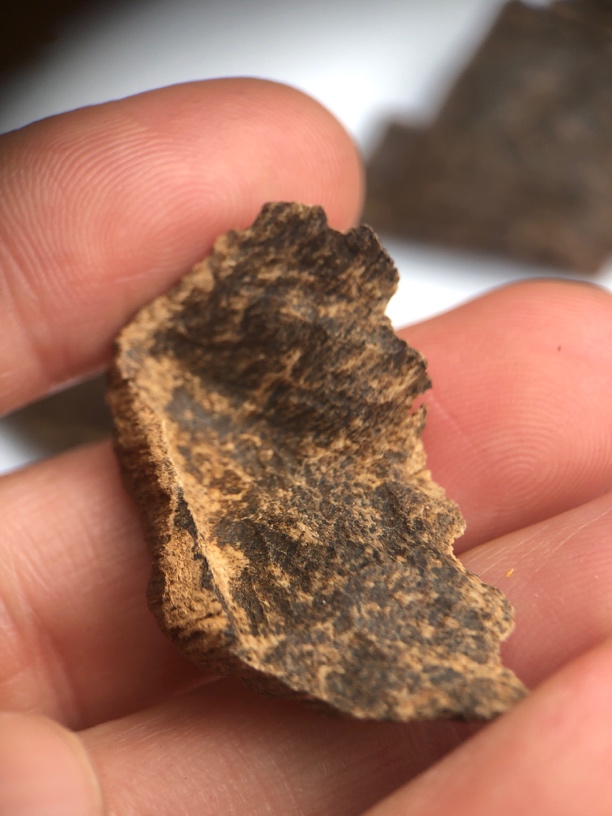 海南沉香 重1.66克 沉水