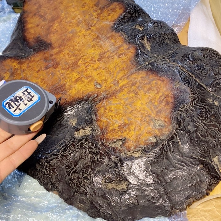 呼呼呼哥哥哥哥哥哥哥哥