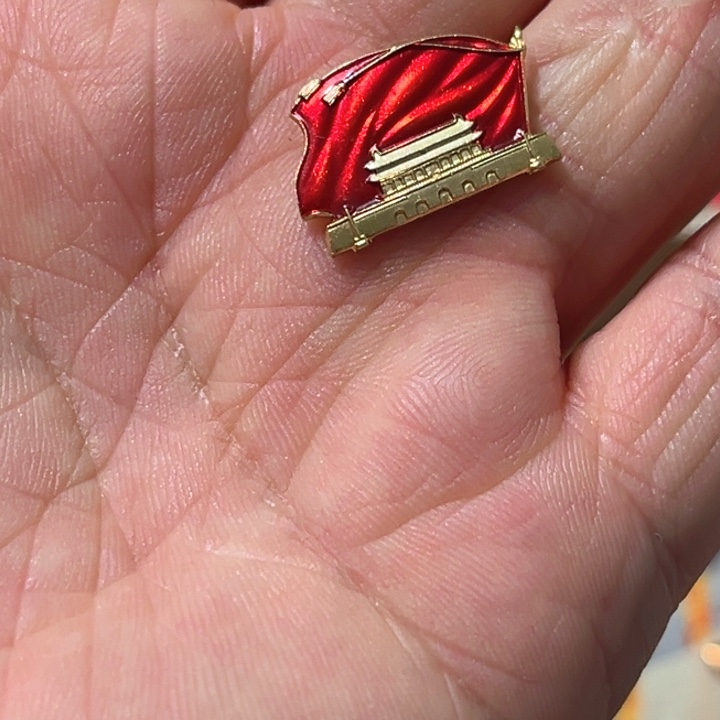 用***6其他普通金属普通纪念章一枚