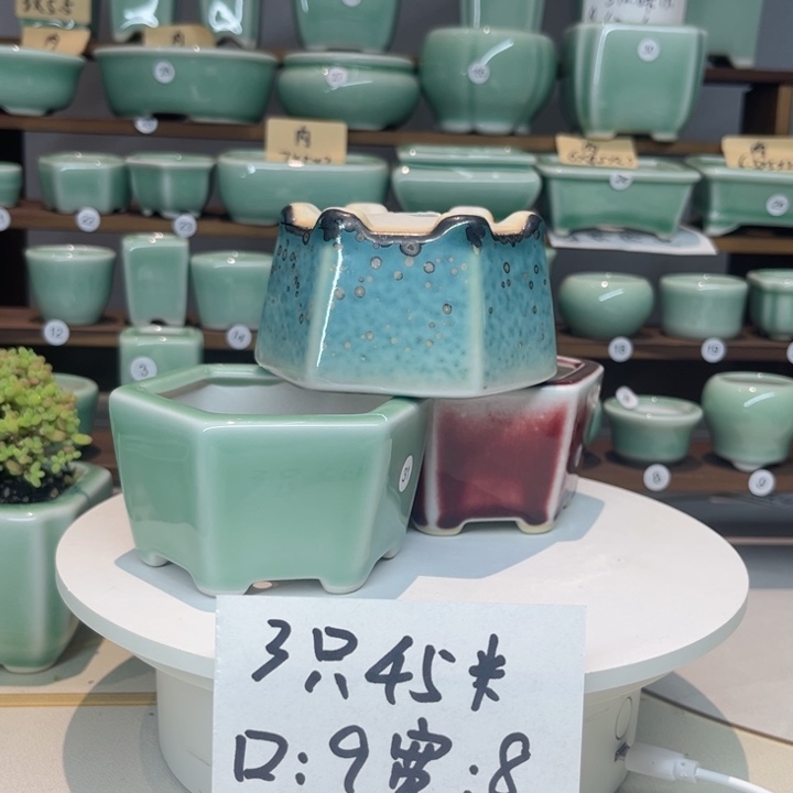 盆心缘小花盆（默认微瑕）