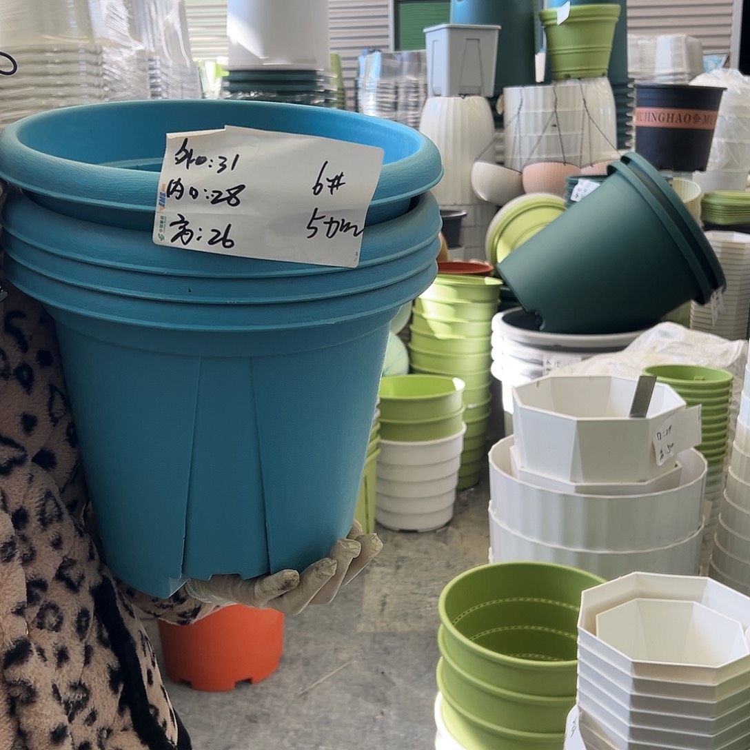 青山盆6#蓝色5个无托