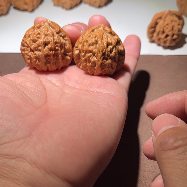 ****式精品白狮子三角白