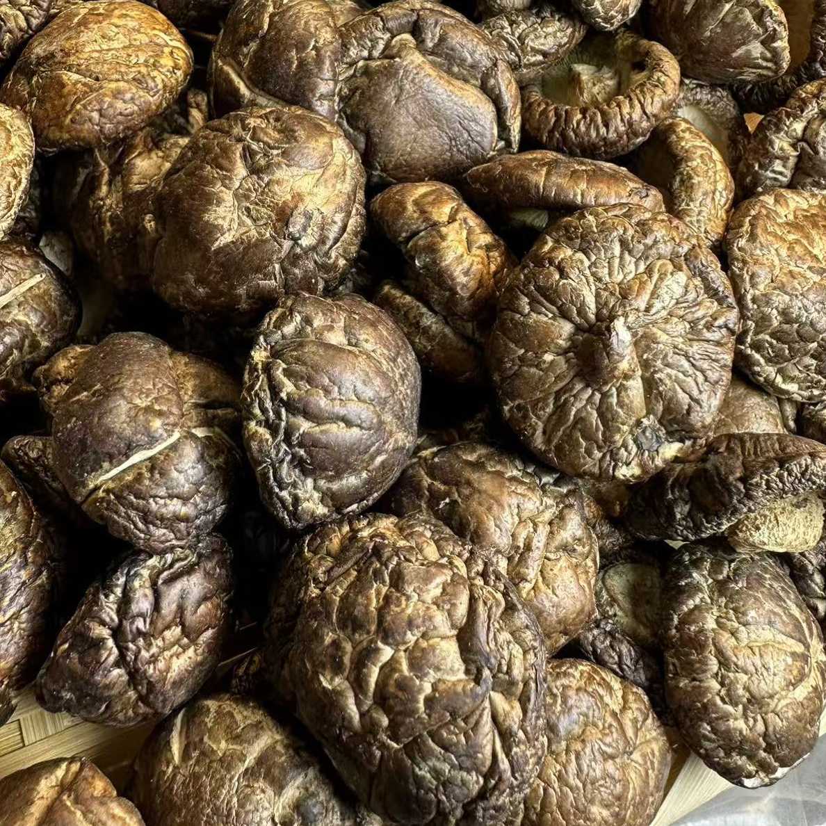 潮汕油面菇500克装