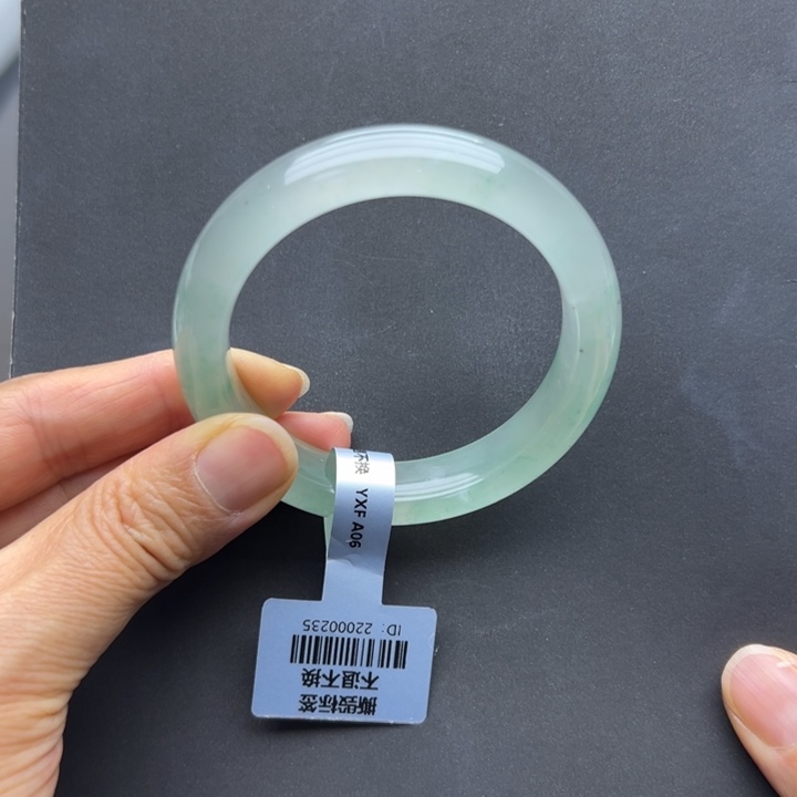 石英质玉未镶嵌手镯燕子➕53.8