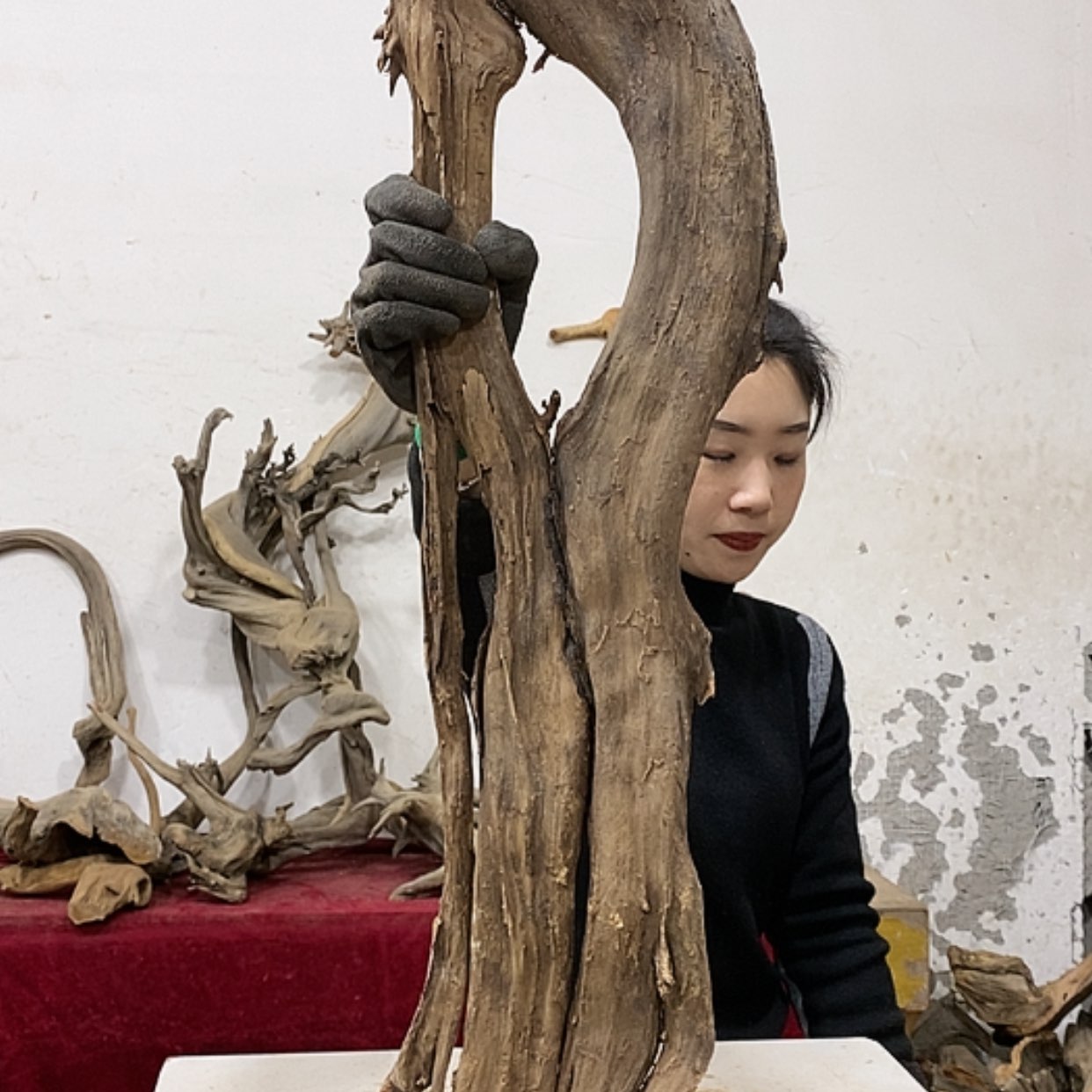 【闪购商品】柏木小*我们都是好孩子