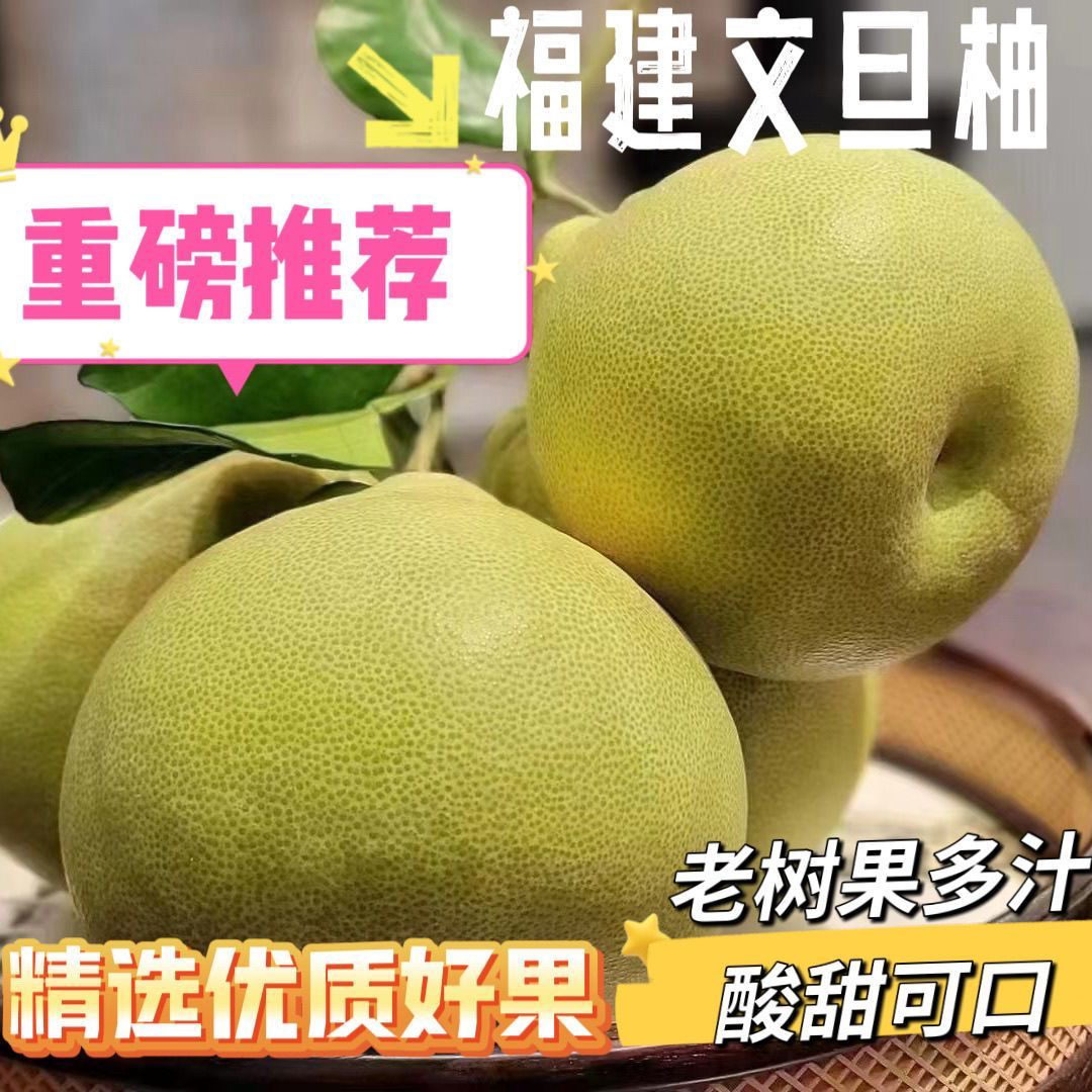 福建仙游度尾文旦柚新鲜应季酸甜多汁现摘现发小孩孕妇营养水果