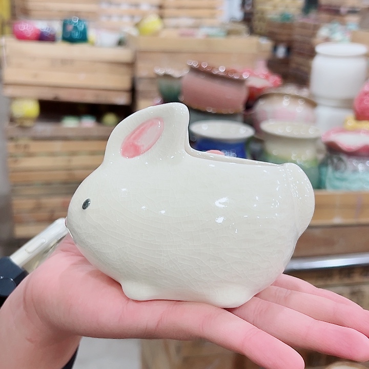 花盆有孔！订单凑满10米包由！