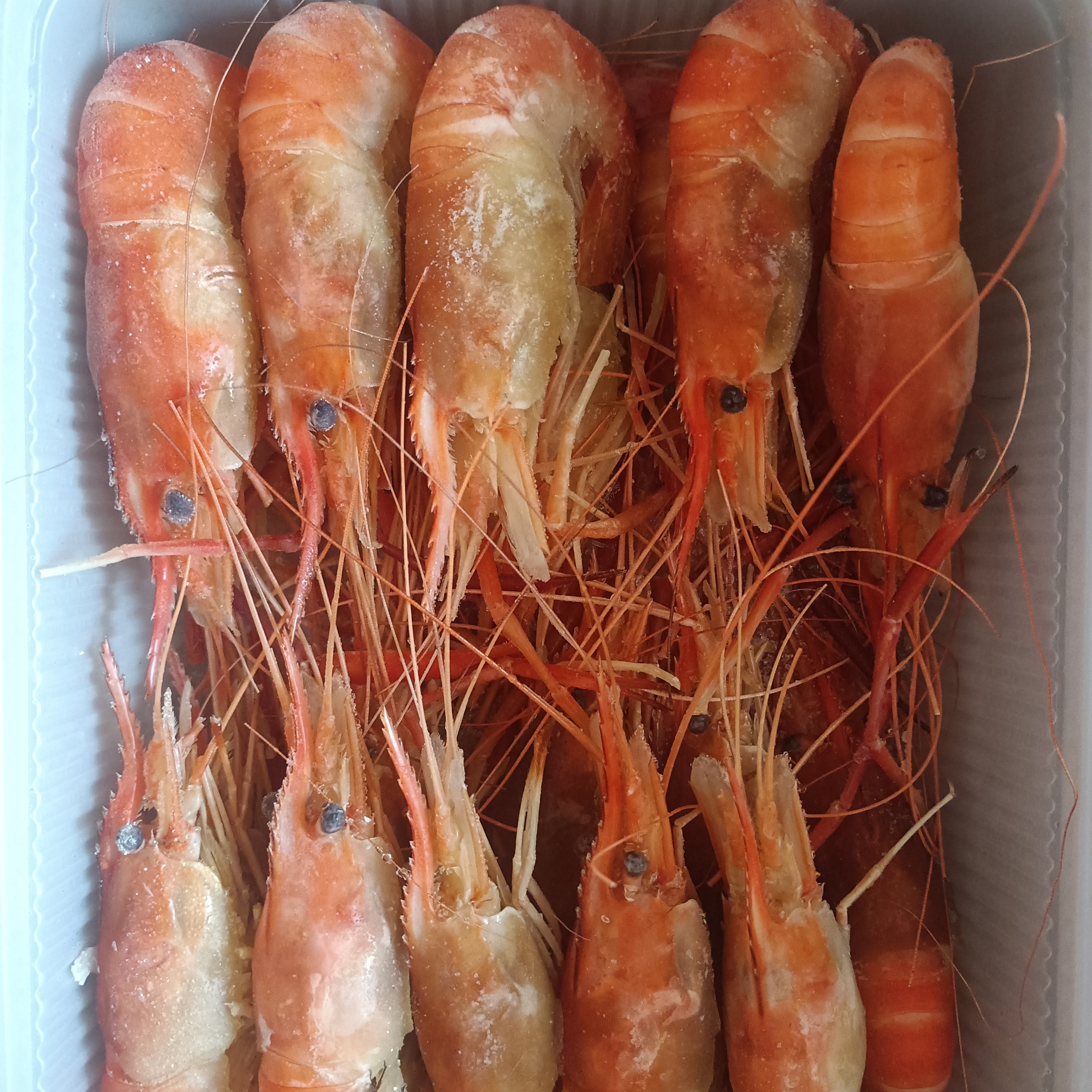 福利熟冻罗氏虾1.5斤/盒(3盒装)配送到家