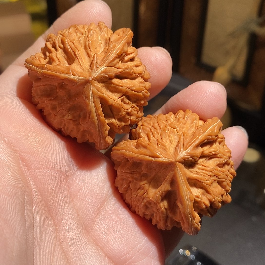 文玩核桃把件45文山三棱全品