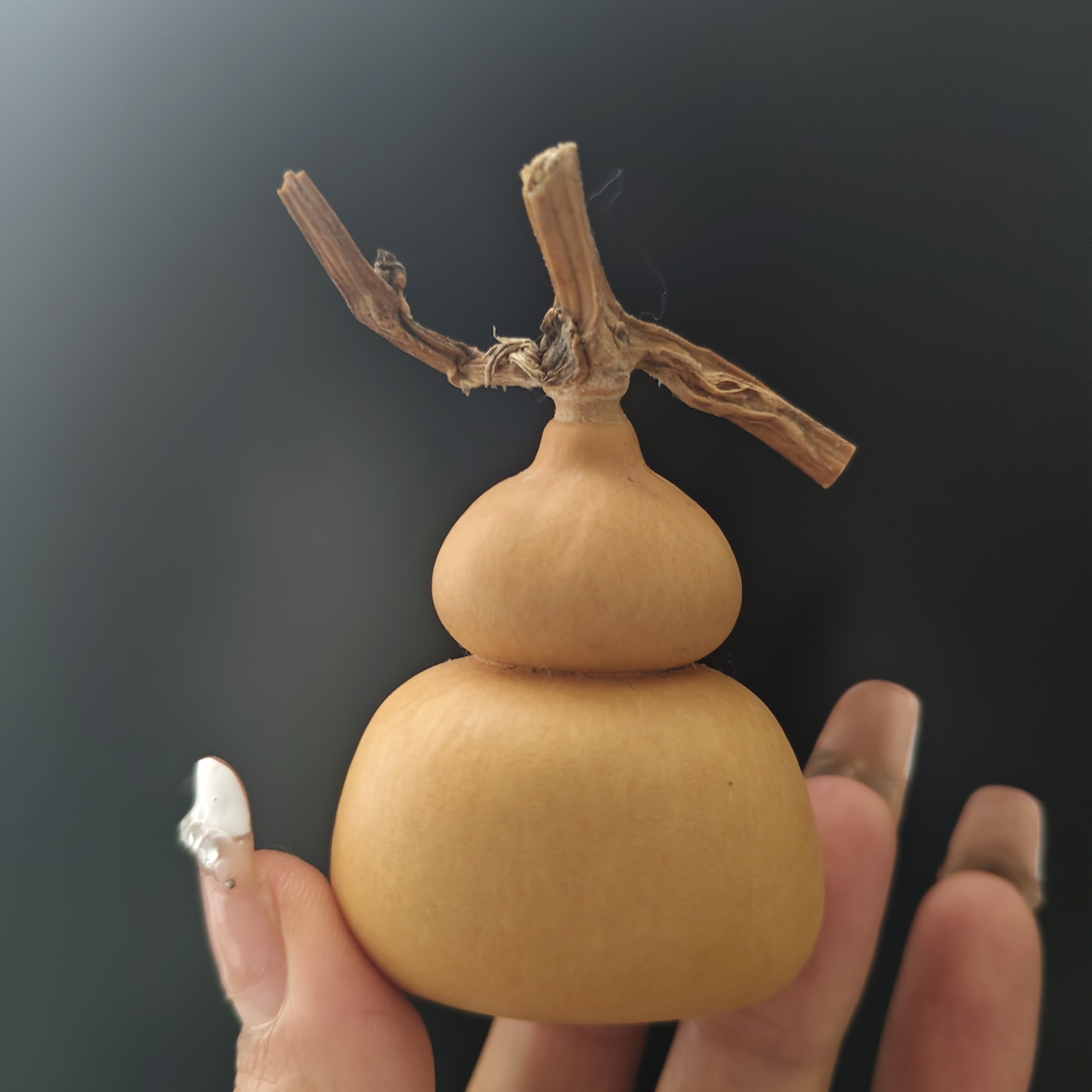 天然小葫芦【直播间倒计时专用链接】非直播间下单勿拍