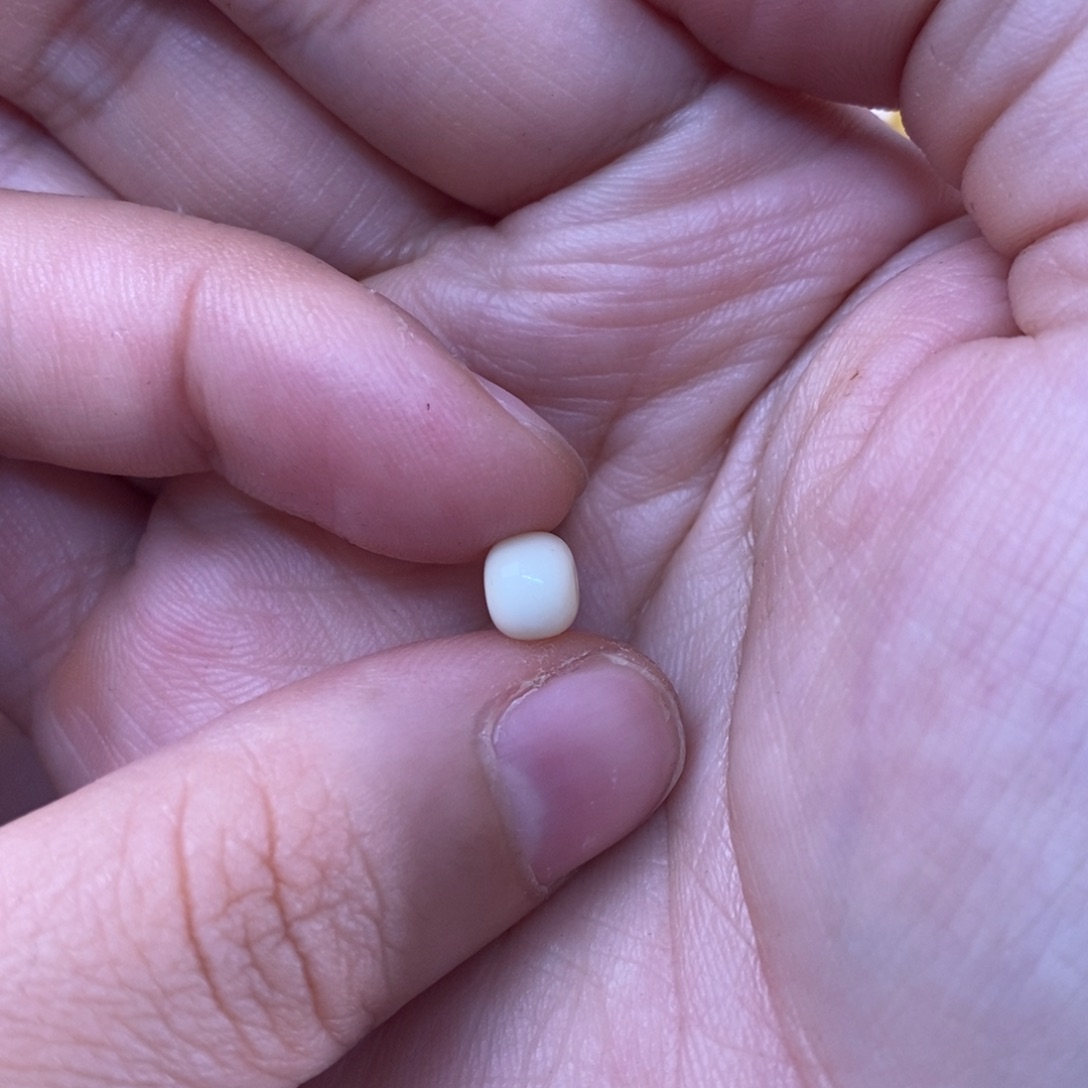 裸石琥珀未镶嵌三**?蜜蜡