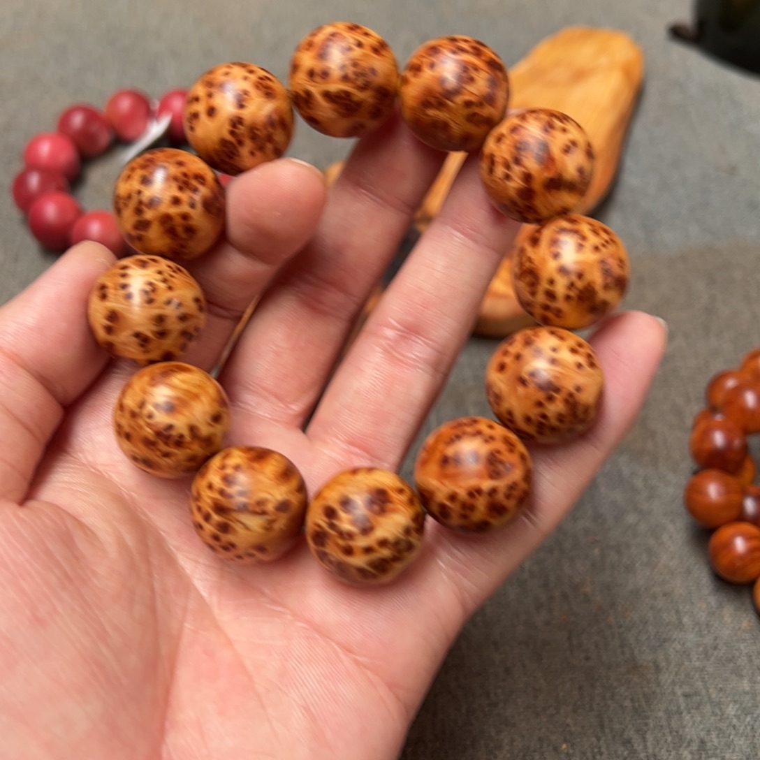 鲨***椒柏木（崖柏）北太行陈化崖柏