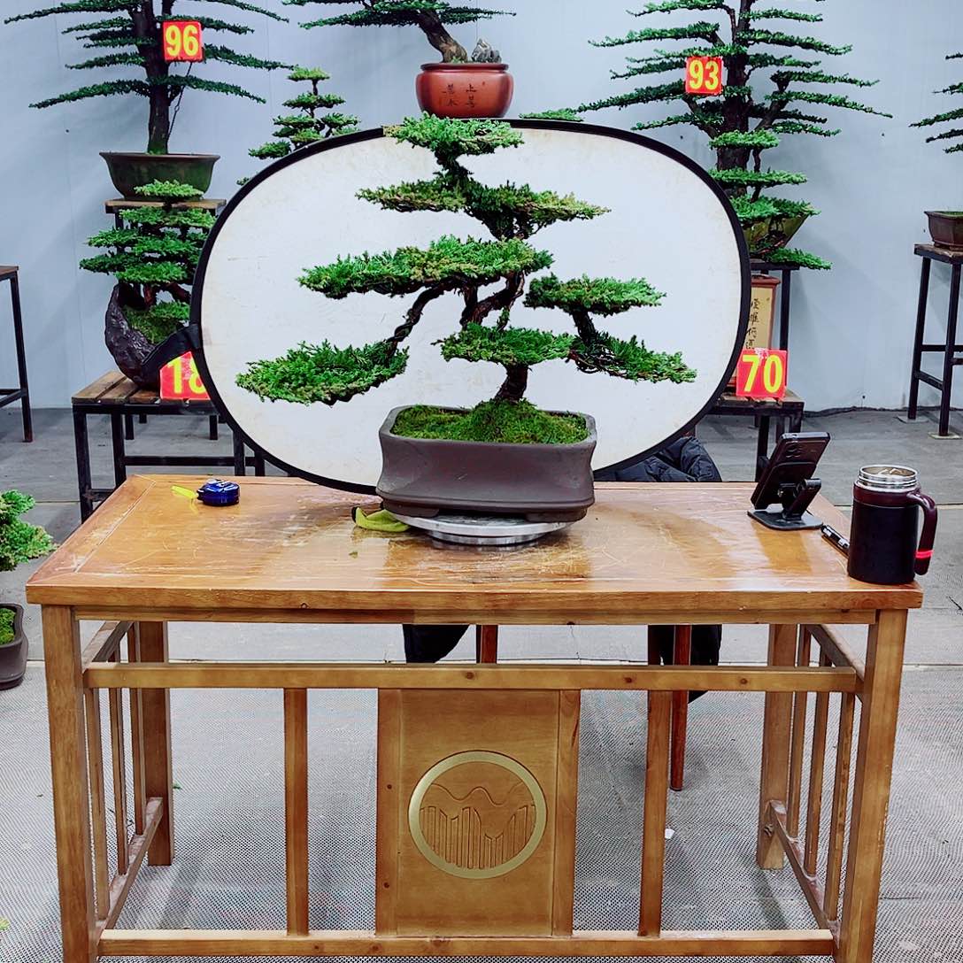 无花朵直播间一物一拍