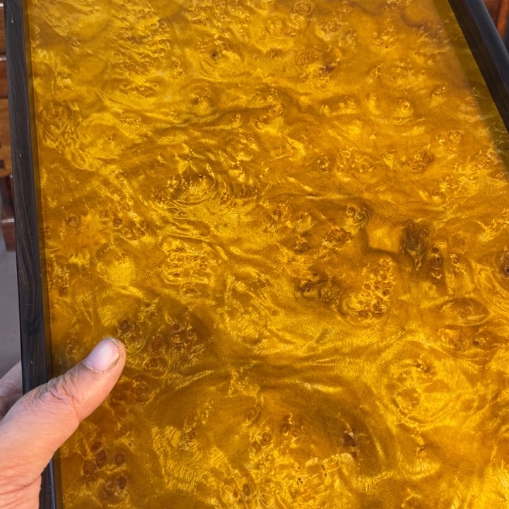 木黄金樟留疤超大托盘