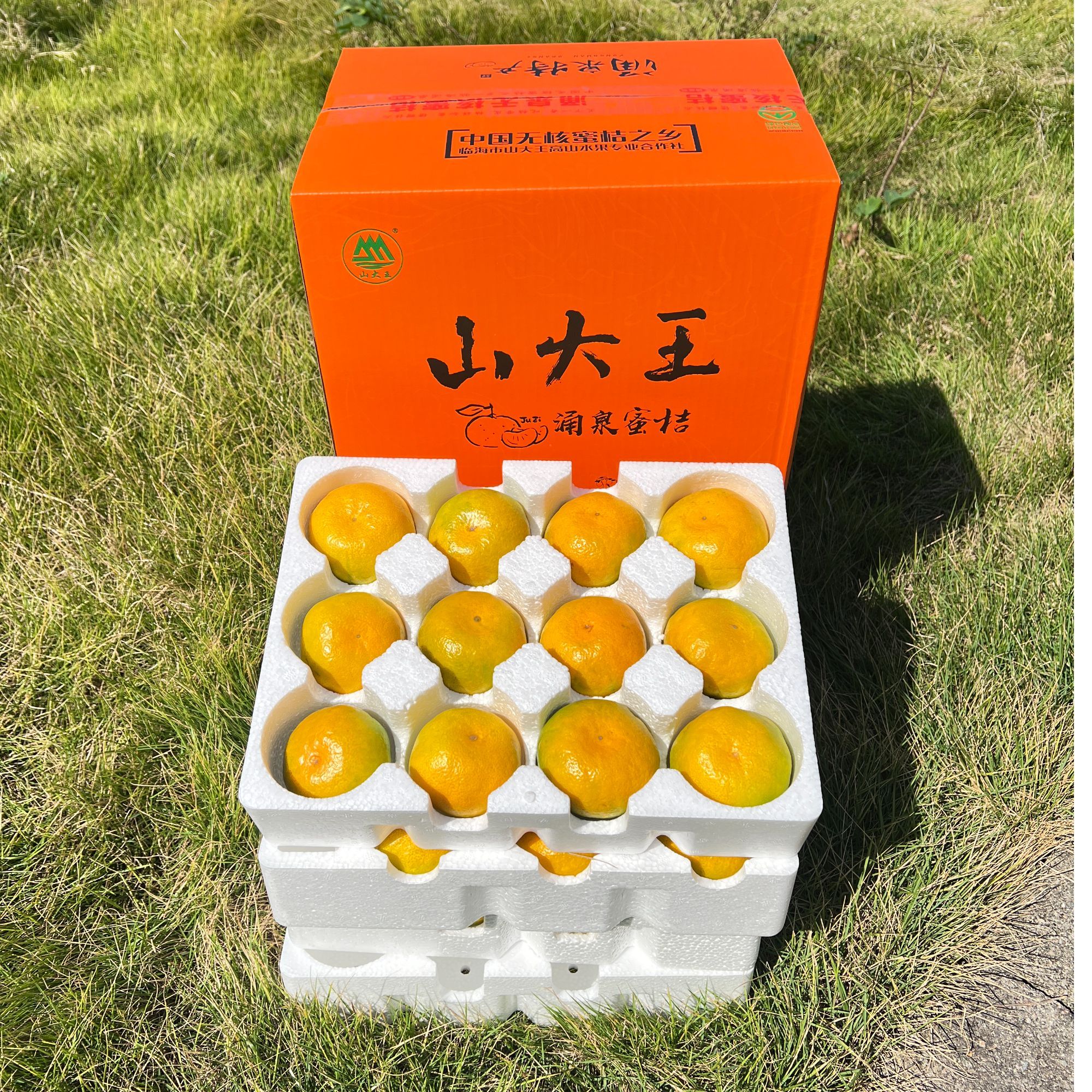 无品牌正宗山大王涌泉蜜桔涌泉高山蜜桔应季水果产地直发顺丰包邮