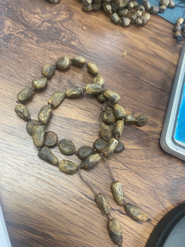 沉香树丁沉水级 单圈 多样性发一