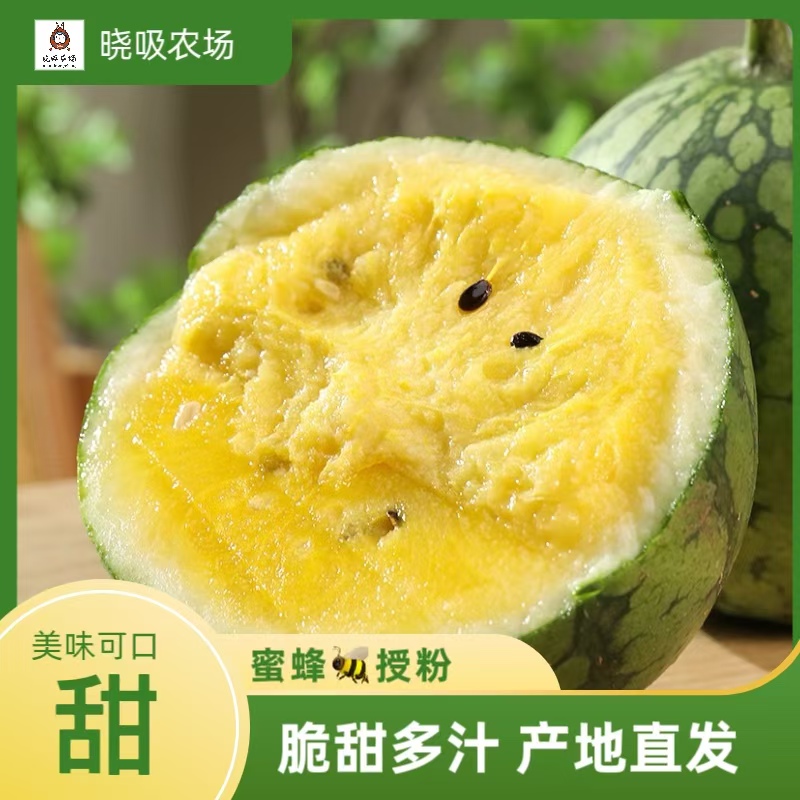 冰淇淋特小凤小黄瓤单果2斤起西瓜新鲜肉厚现摘广东省