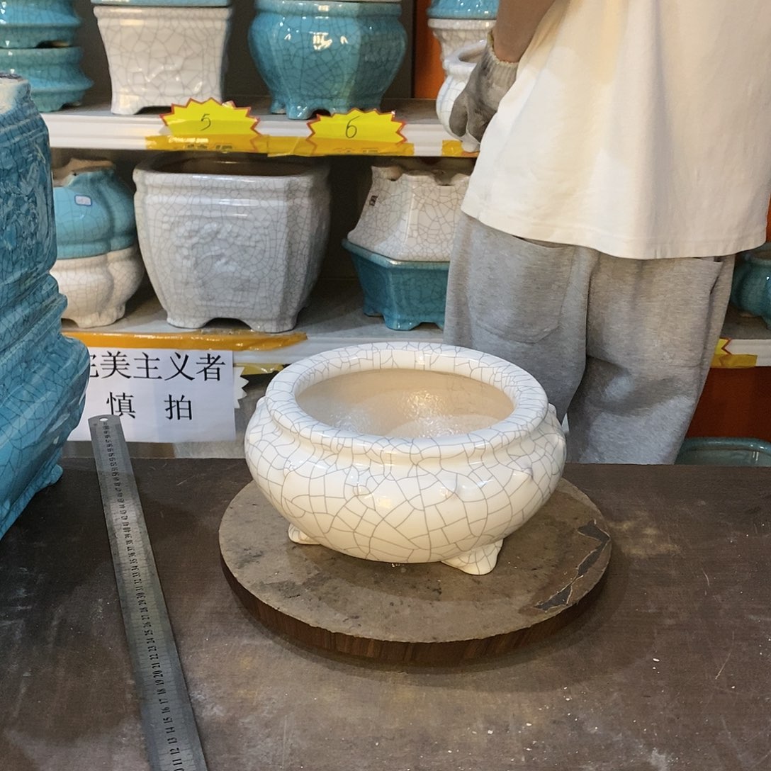 雅**）花盆花盆里的花