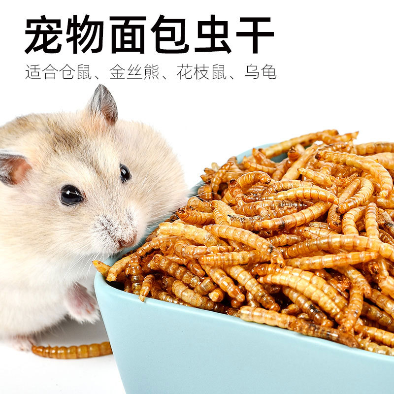 面包虫干仓鼠粮食仓鼠主粮磨牙荷兰仓鼠食粮羊奶零食金丝熊粮食