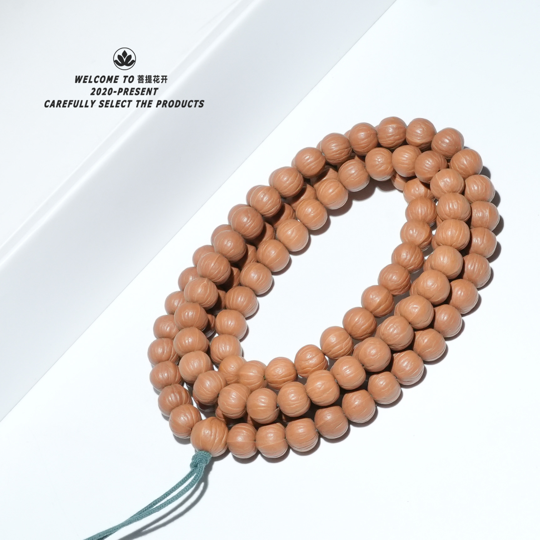 精选【双鳍南瓜】原皮猴头一刀未动全品