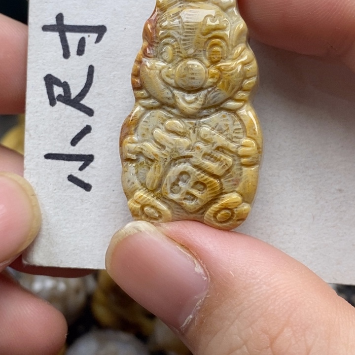 硅化珊瑚（珊瑚玉）未镶嵌颈饰