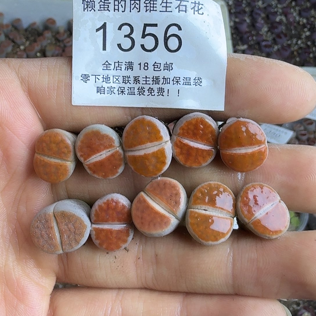 冬***眠1356 哈哈哈哈哈哈哈哈哈