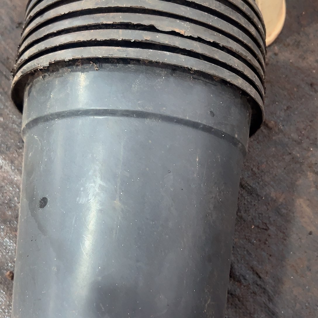 熟胶2黑加仑盆22.5口径21高 7个