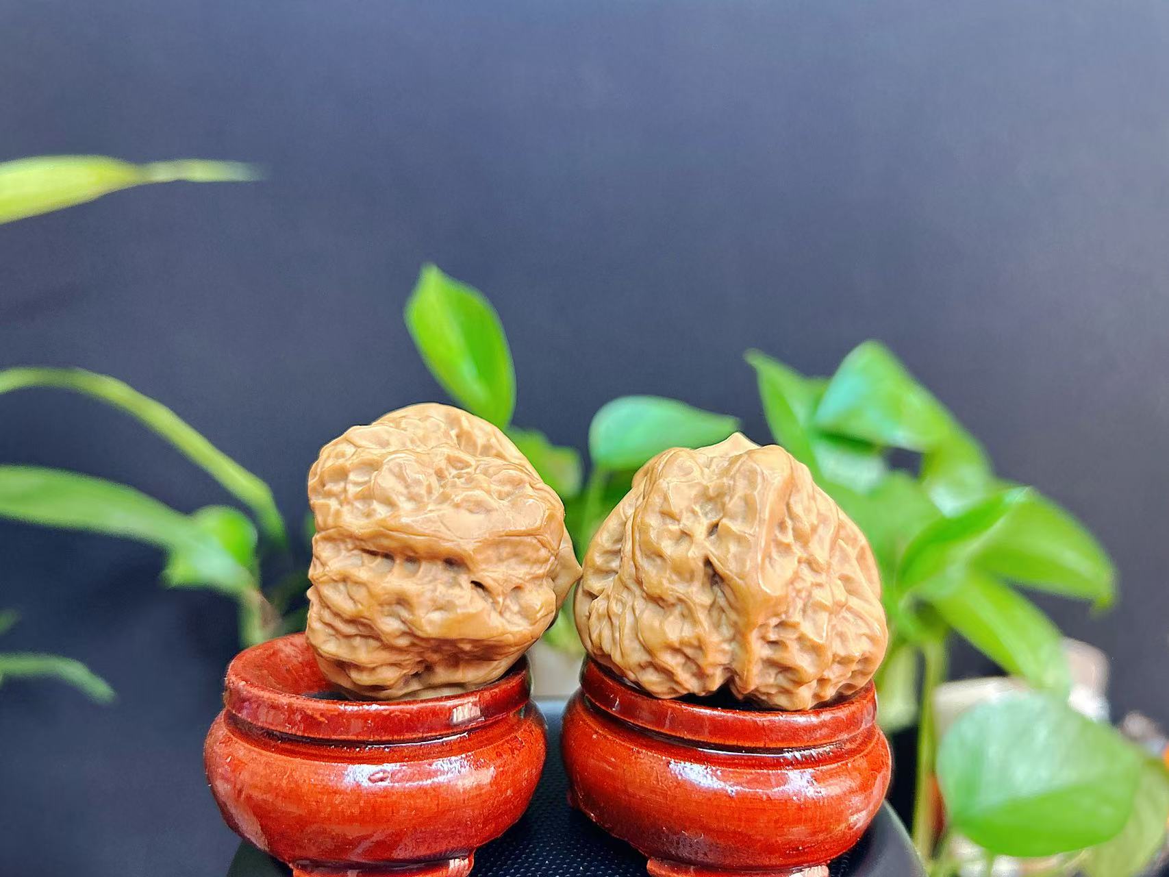 箭毒蛙文玩麻核桃