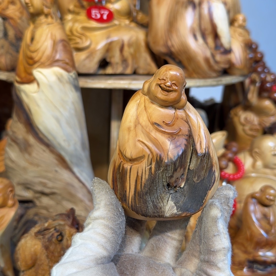 柏木（崖柏）66666666