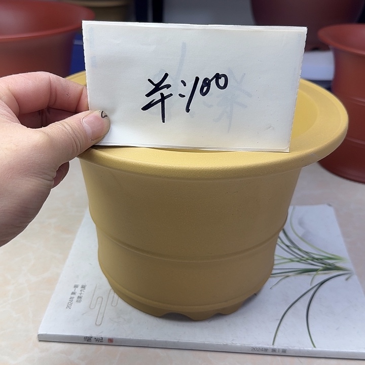 春秋花盆精品兰盆