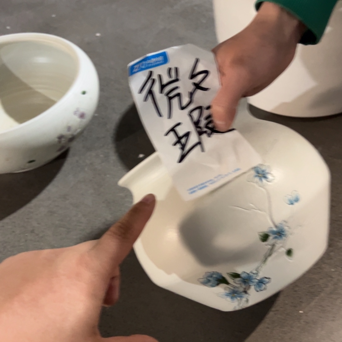 哦哦驾照驾照驾照驾照哦