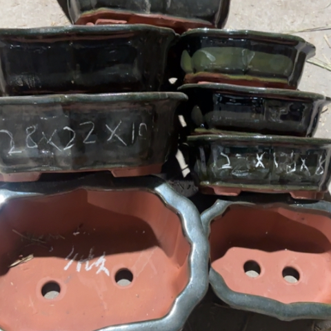 100-8。 组合。 微瑕。   