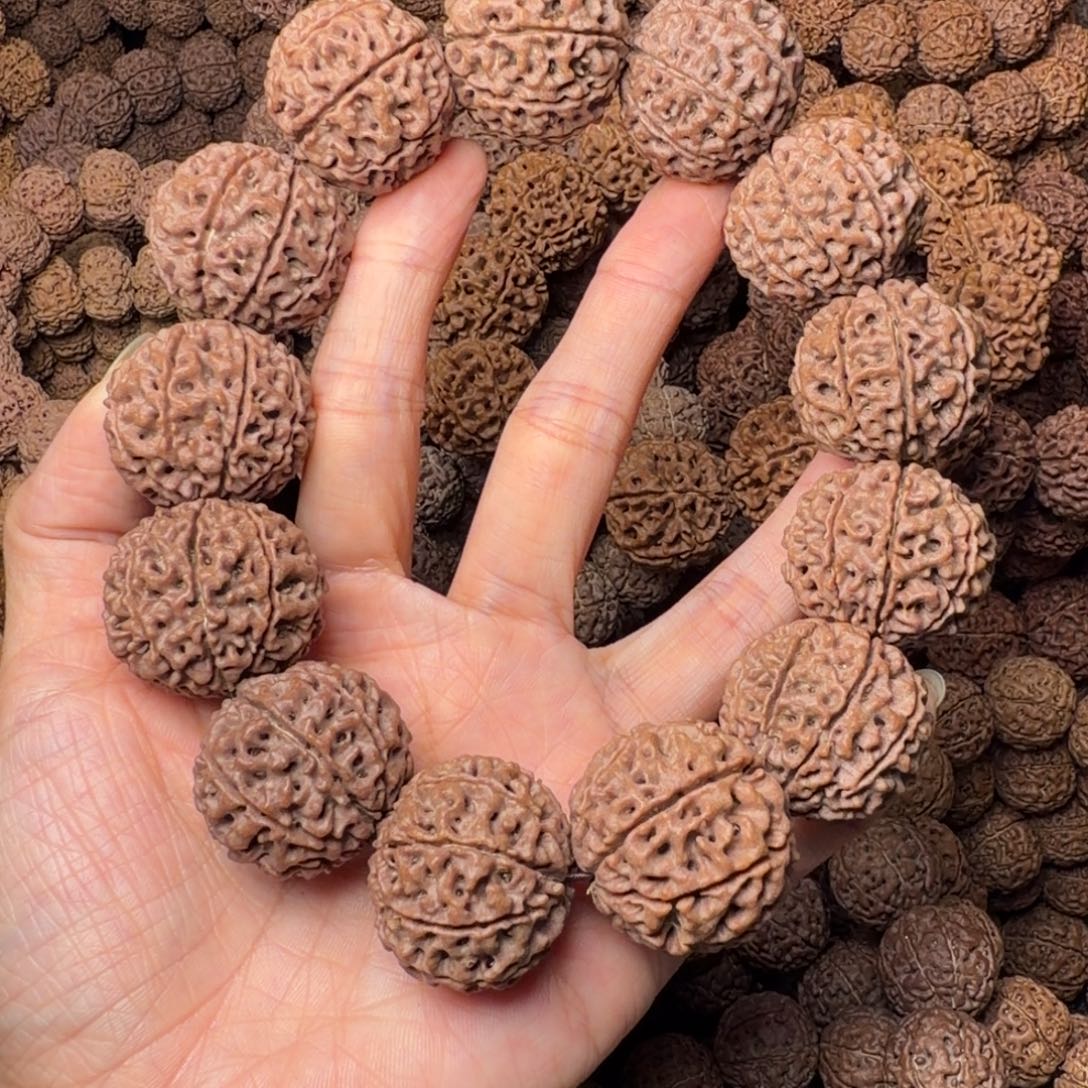 手串金刚菩提9瓣卡27尺，18号