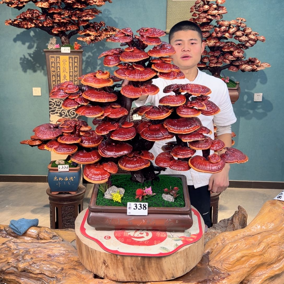 无花朵88888888888