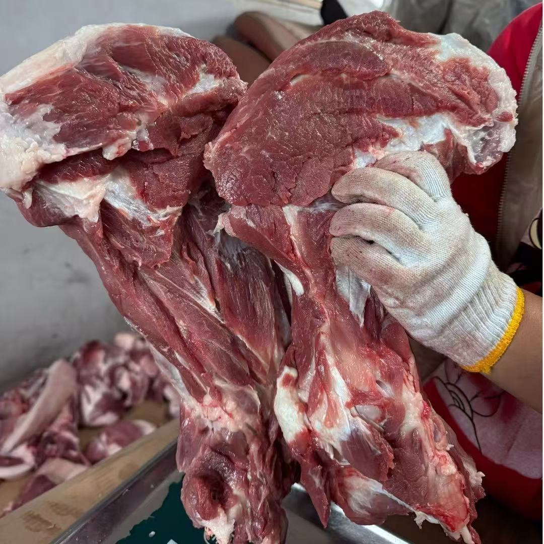 2025东北跑山黑猪 扇骨