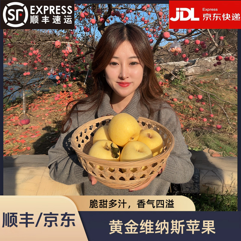 山东烟台维纳斯苹果新鲜应季脆甜多汁产地直发带皮吃