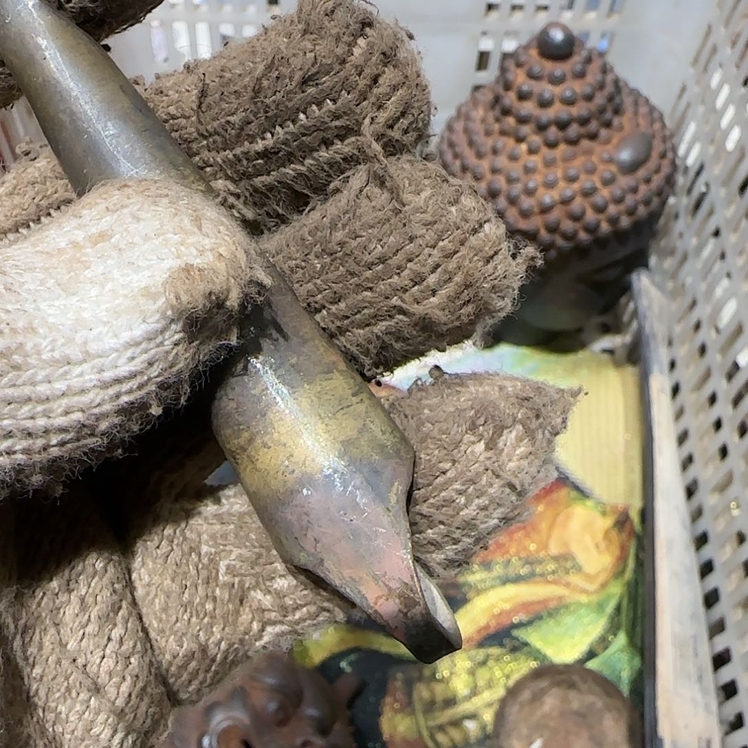 园***棠一物一图看好在拍