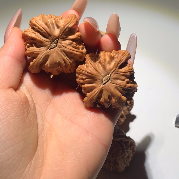 把件文玩核桃白狮子