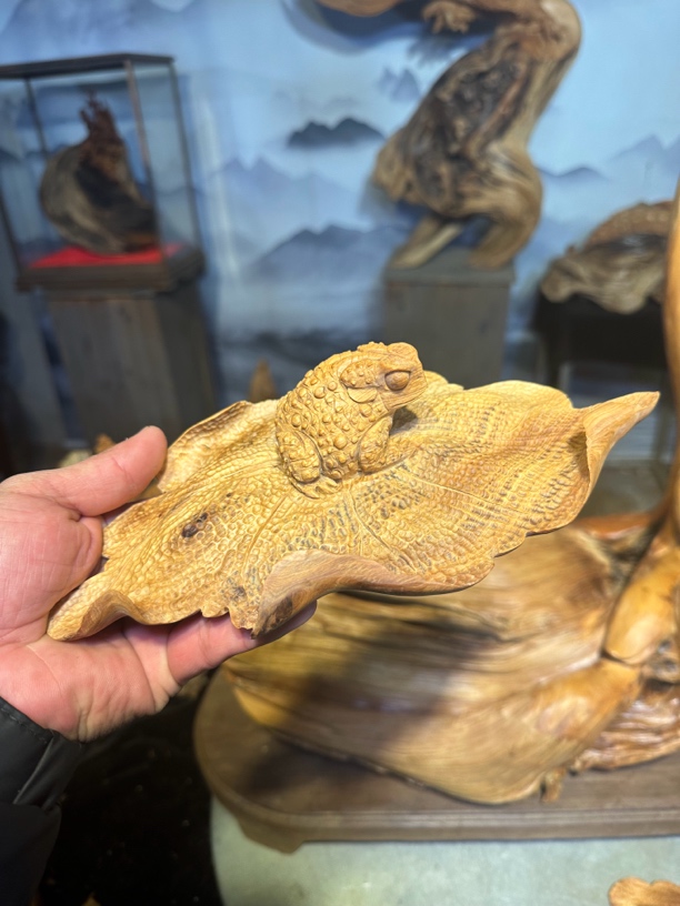 太行崖柏荷叶金蟾老料