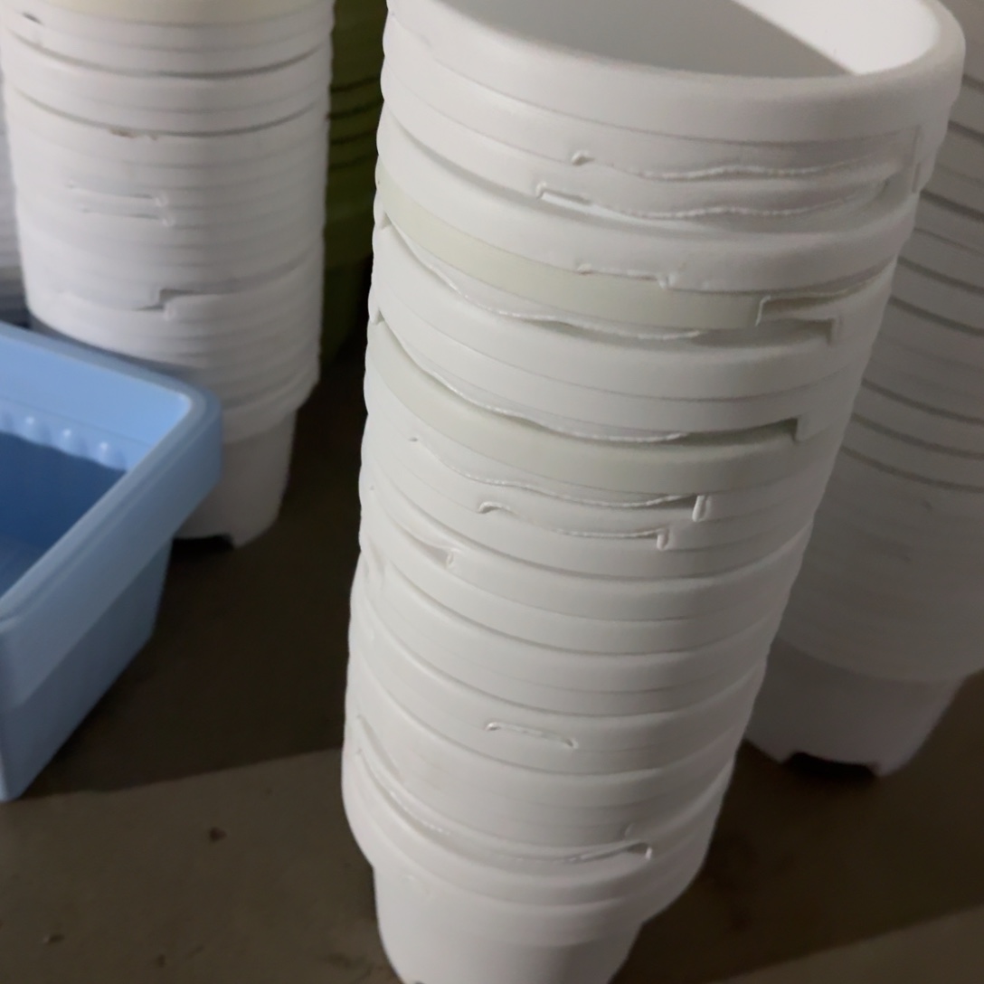 球根1#缺口12个纯白口径16