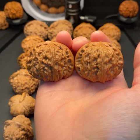 文玩核桃把件40白狮子毕业对