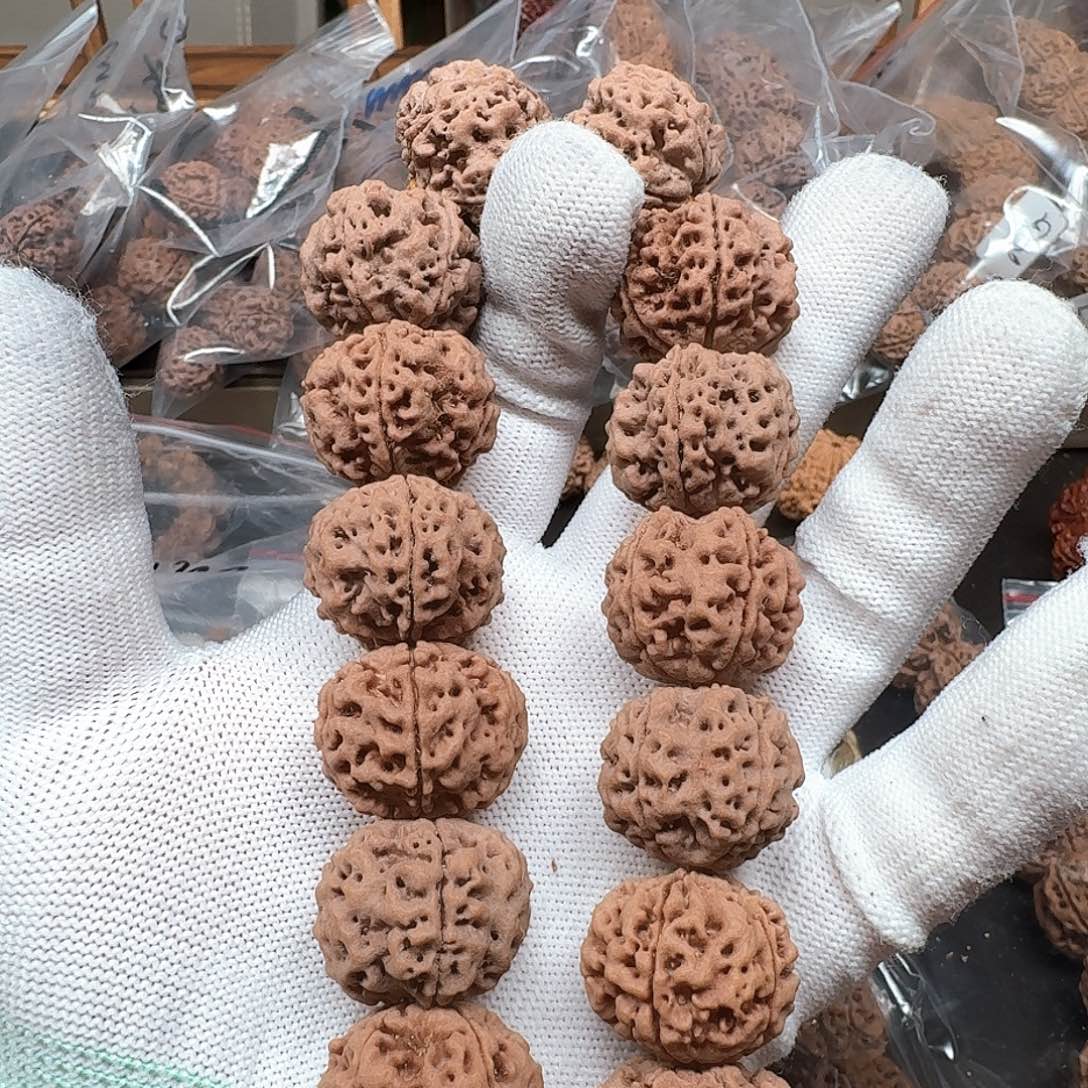 金刚菩提手串23爆肉安娜安娜